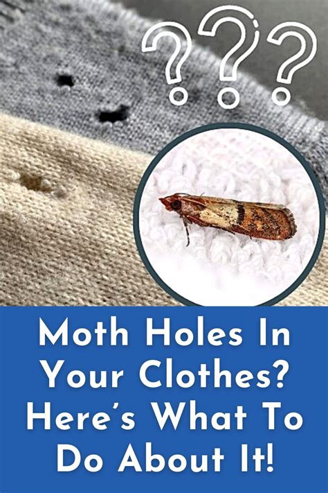 how to fake moth holes in clothes